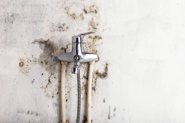Trusted Republic, MO Mold Remediation Experts